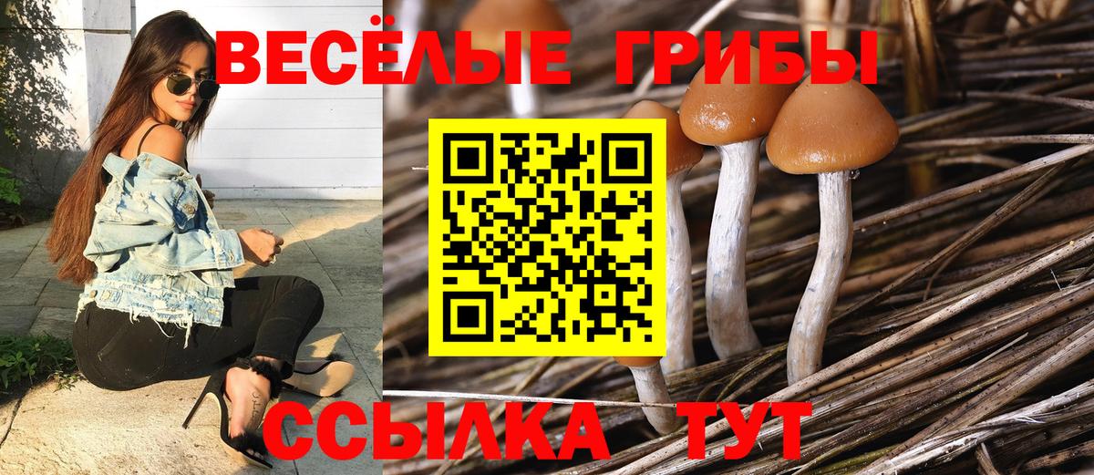 Псилоцибиновые грибы GOLDEN TEACHER Ногинск